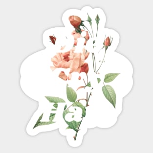 Die, Cry, Hate Sticker